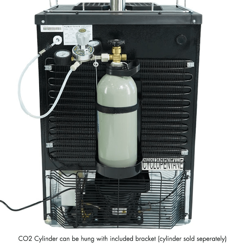 KegMaster™ Series XL 2 taps Rear view +CO2 tank Included 